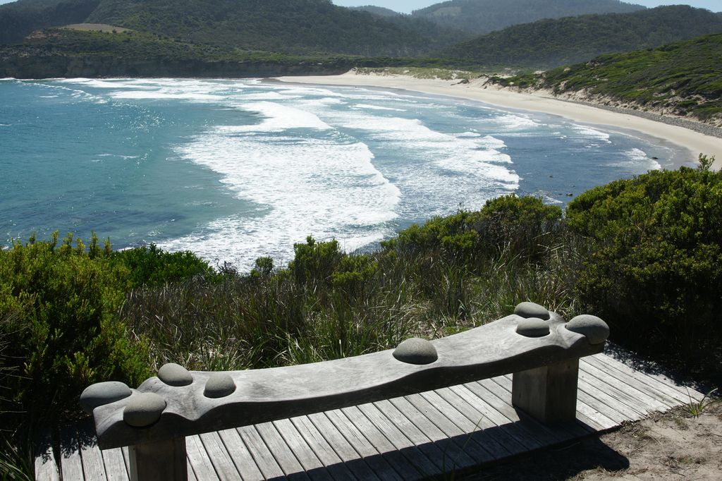 Roaring Beach dunes and surf